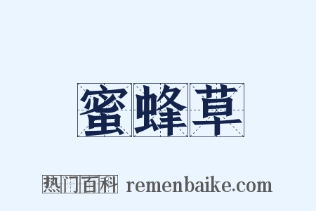 蜜蜂草是什么意思的图片